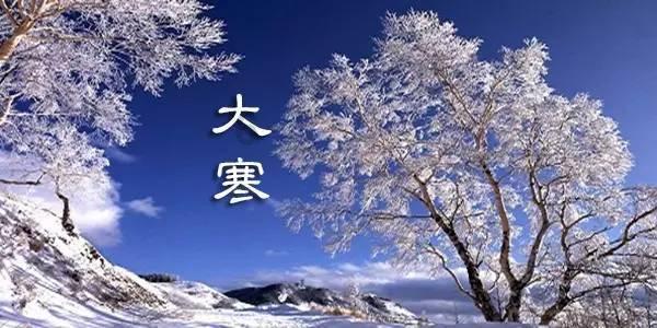 战锤：全面战争